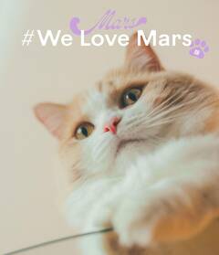 電子書籍限定で本日発売！『＃We Love Mars版』THE RAMPAGE 藤原樹の愛猫マースの未公開カットが満載