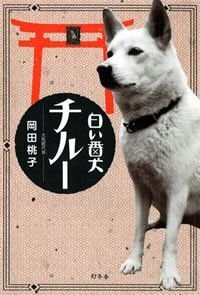 白い番犬チルー