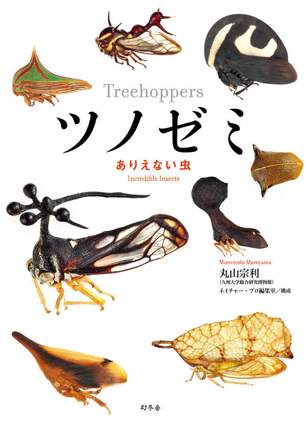 ★新品未使用品‼️オータニ昆虫館SEMI ・セミ★入手難※希少★ ツノゼミ ありえない虫』丸山宗利 | 幻冬舎