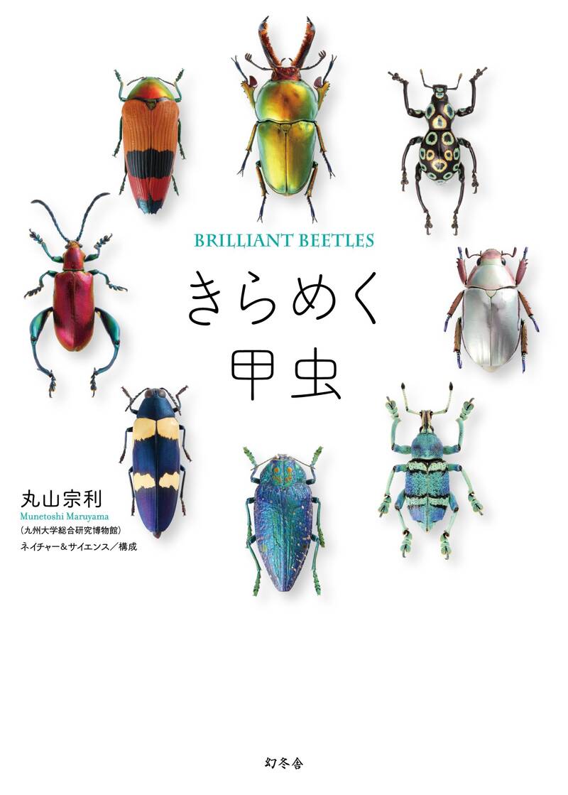 アリの巣をめぐる冒険 昆虫分類学の果てなき世界』丸山宗利 | 幻冬舎