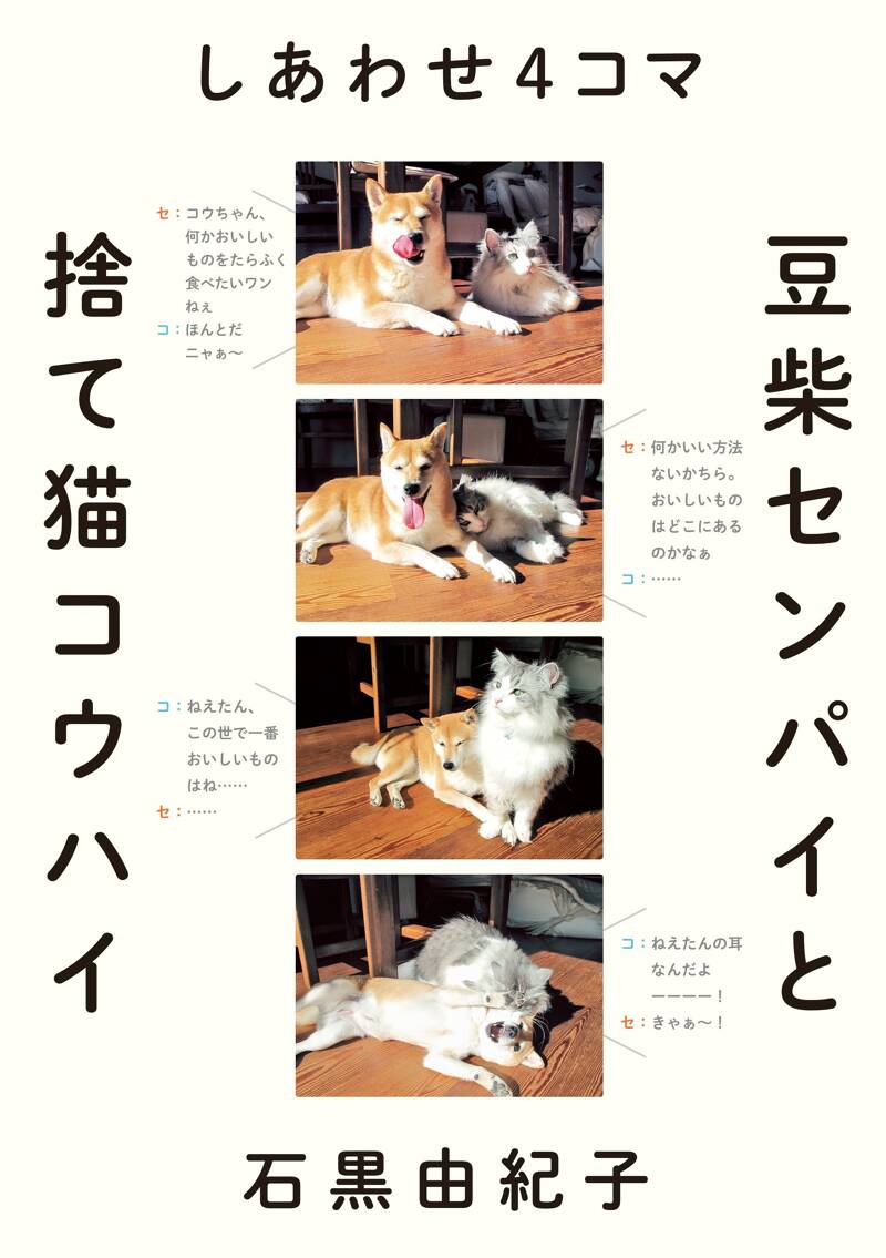 柴猫様 しあわせ4コマ 豆柴センパイと捨て猫コウハイ』石黒由紀子 | 幻冬舎