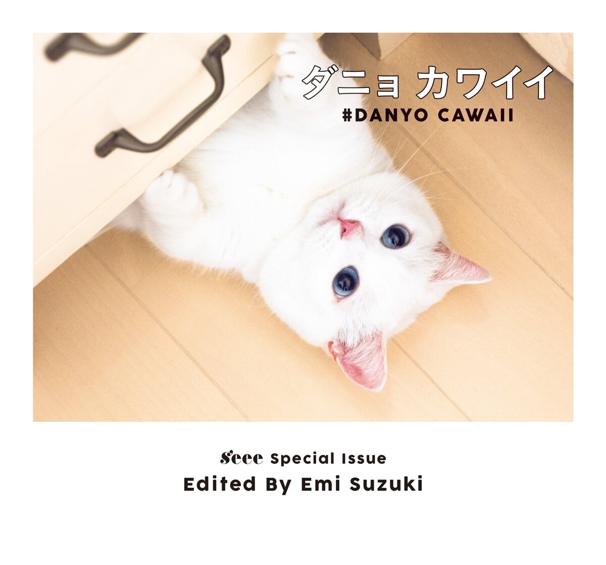 ダニョ カワイイ #DANYO CAWAII