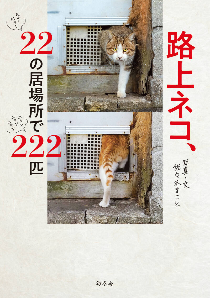 荒れ地のねこ 路上ネコ、22の居場所で222匹』佐々木まこと | 幻冬舎