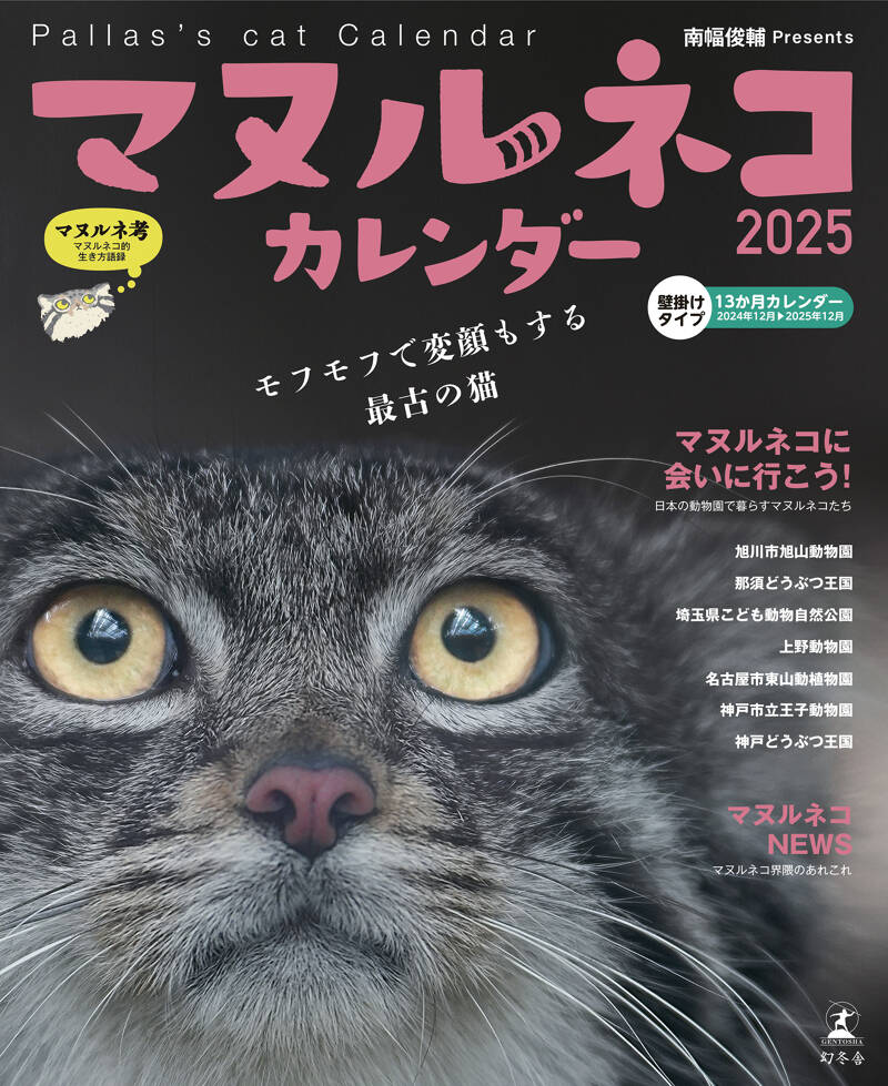 猫 人気 雑誌 カレンダー