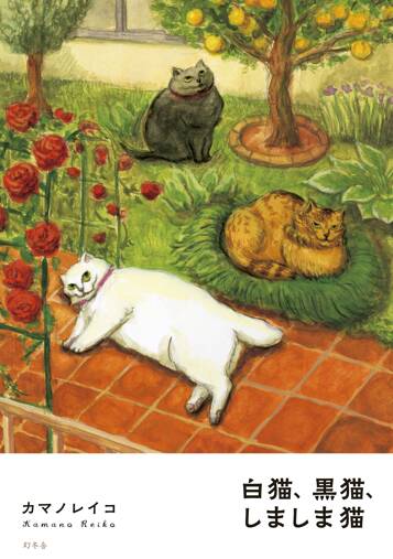 白猫、黒猫、しましま猫