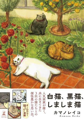 白猫、黒猫、しましま猫