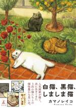 白猫、黒猫、しましま猫