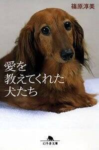 愛を教えてくれた犬たち』篠原淳美 | 幻冬舎
