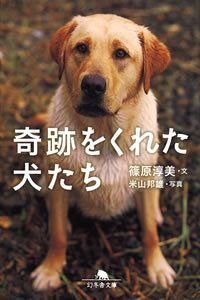 奇跡をくれた犬たち