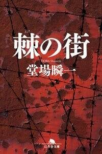 堂場瞬一作品　16冊セット 81y-zl9zfnL.jpg