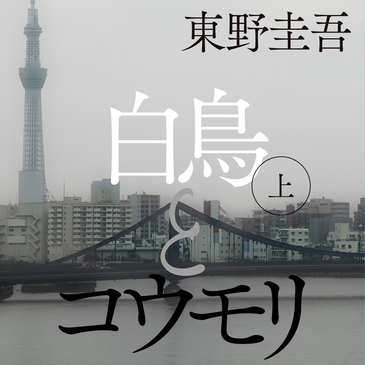 白鳥とコウモリ（上）』東野圭吾 | 幻冬舎