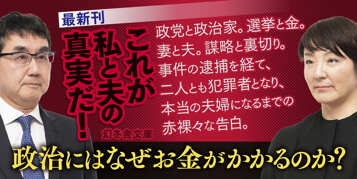 天国と地獄　選挙と金、 逮捕と裁判の本当の話の表紙画像