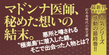 番所医はちきん先生 休診録八　風のむこうにの表紙画像