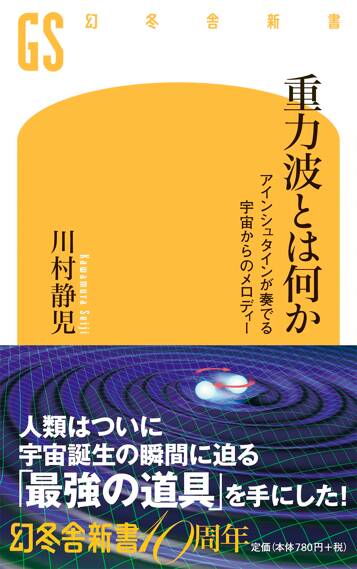 重力波とは何か　アインシュタインが奏でる宇宙からのメロディー