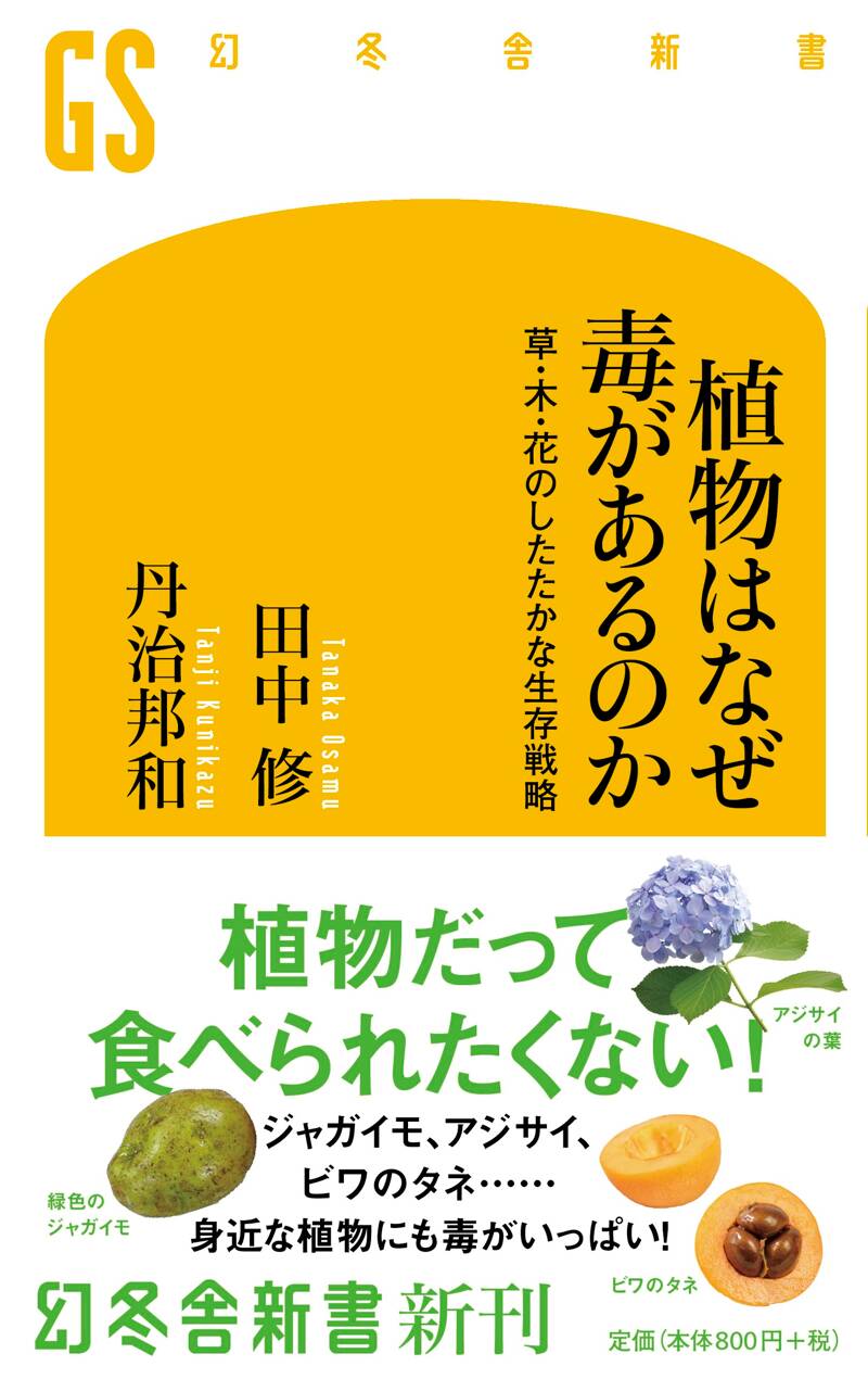 【中古】 万病に効く「野草酵素」/たちばな出版/田中龍博 万病に効く「野草酵素」 / 田中 龍博【著】 - 紀伊國屋書店