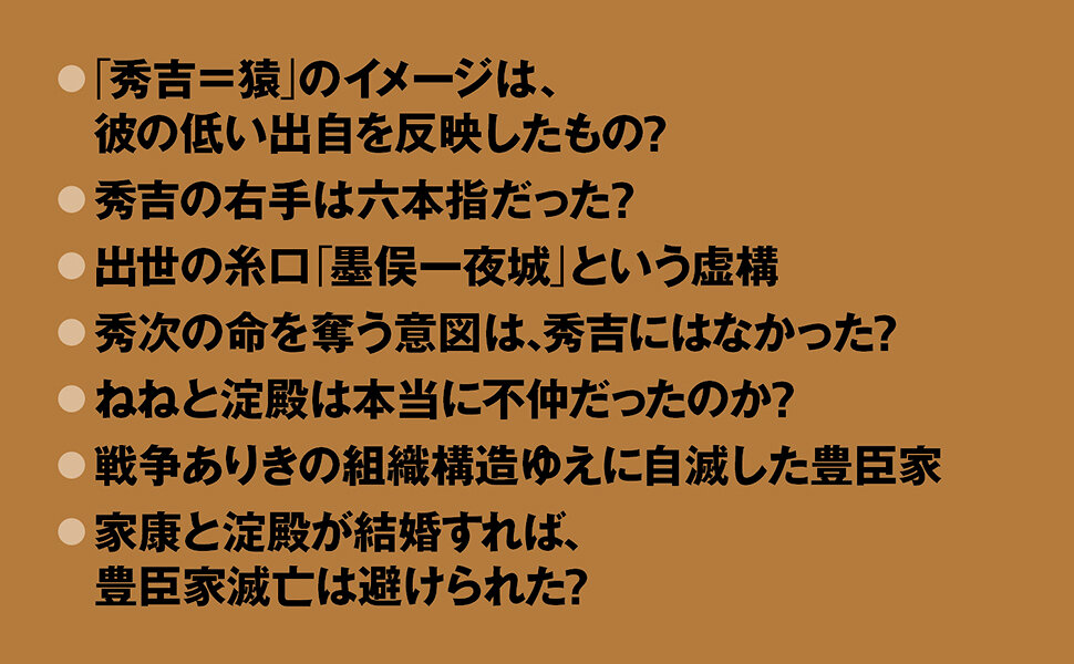 真説　豊臣兄弟とその一族